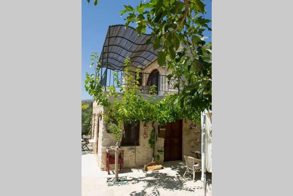Petite Olive House Villa Sitia  Dış mekan fotoğraf